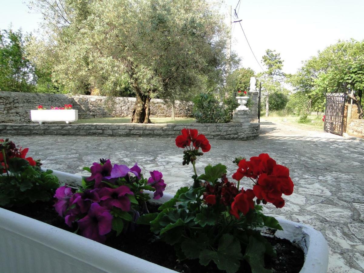 Apartments Villa Maran Umag Buitenkant foto